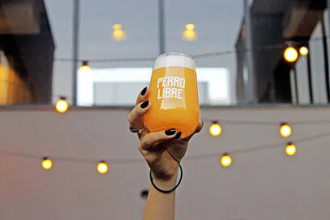 Cerveja Artesanal em São Paulo