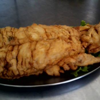 Foto Pesqueiro Bortolan