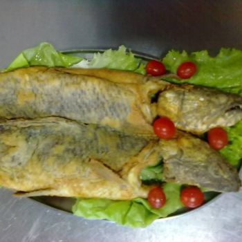 Foto Pesqueiro Bortolan