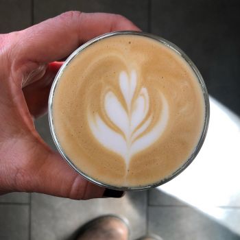 Foto KOF - King of the Fork