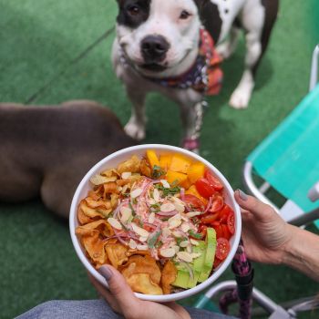 Foto Mana Poke - Piracicaba