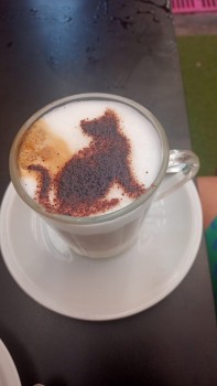 Foto Gato Café