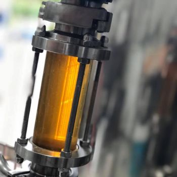 Foto Cervejaria Costa Leste