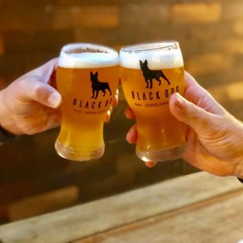 Foto Black Dog Cervejaria