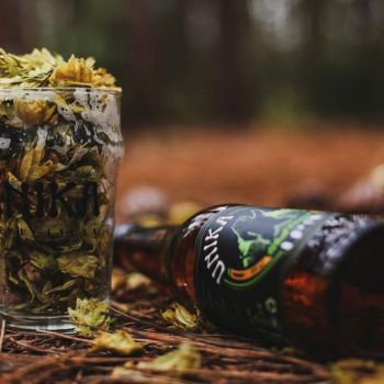 Foto Unika Cervejaria