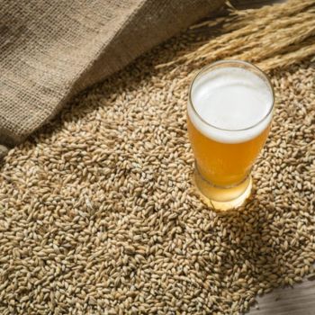 Foto Klaro Chopp - Araras