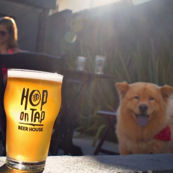 Foto Hop on Tap Beer House