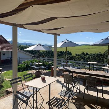 Foto Queijo Pátio da Pedra