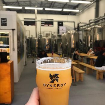 Foto Taproom Synergy