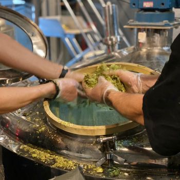 Foto Trilha Fermentaria