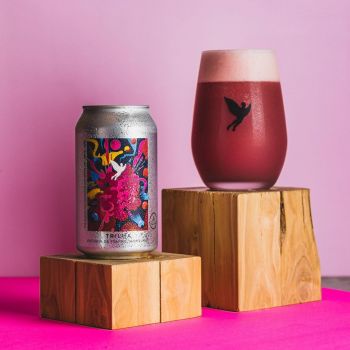 Foto Trilha Fermentaria